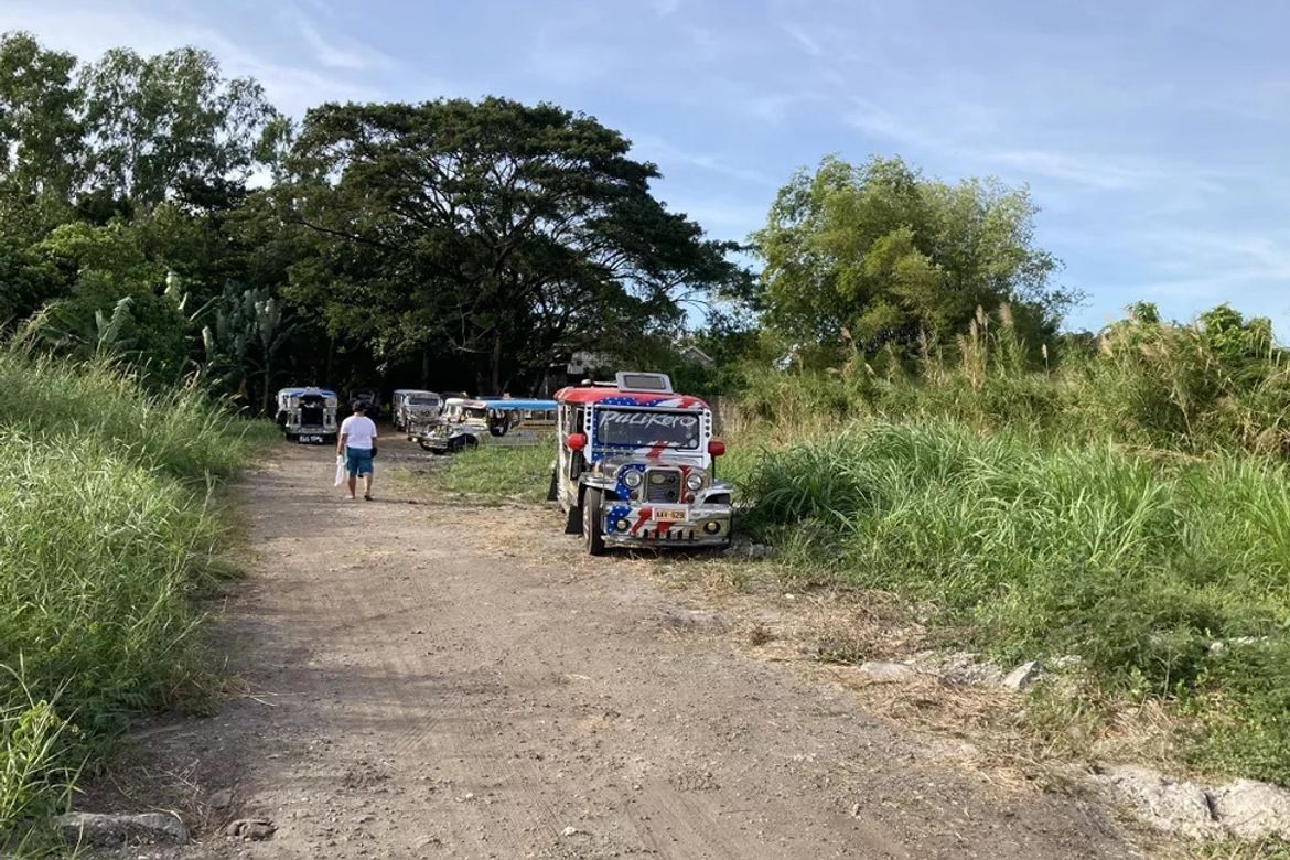 Land for Sale in Guevarra, La Paz, Tarlac – photo 6