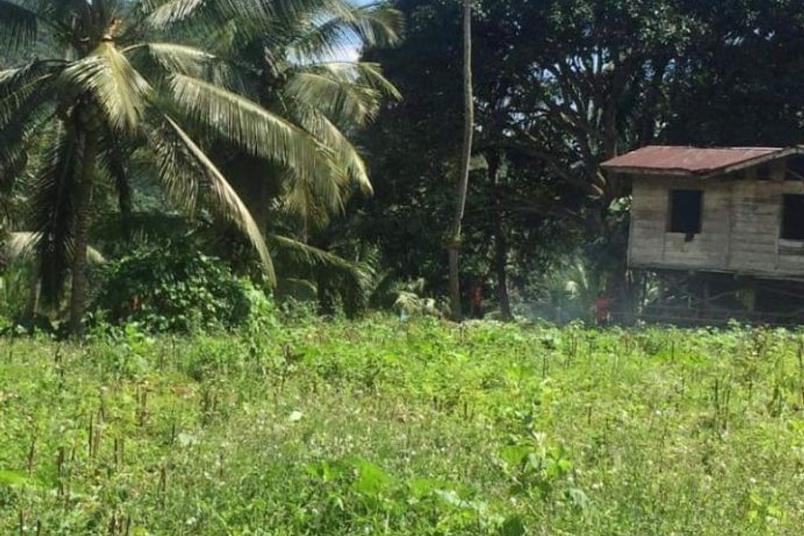 Land for Sale in Guimbangco-An, Sibonga, Cebu – photo 5