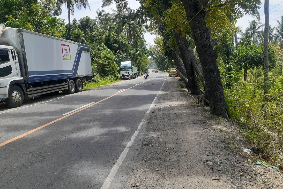 Land for Sale in Guimbangco-An, Sibonga, Cebu