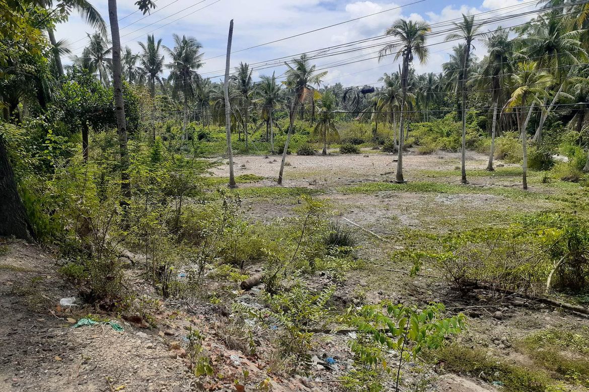 Land for Sale in Guimbangco-An, Sibonga, Cebu – photo 3