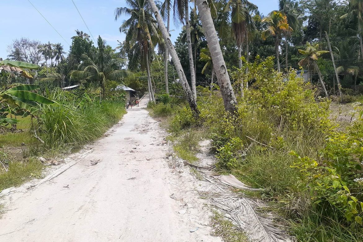 Land for Sale in Guimbangco-An, Sibonga, Cebu – photo 7