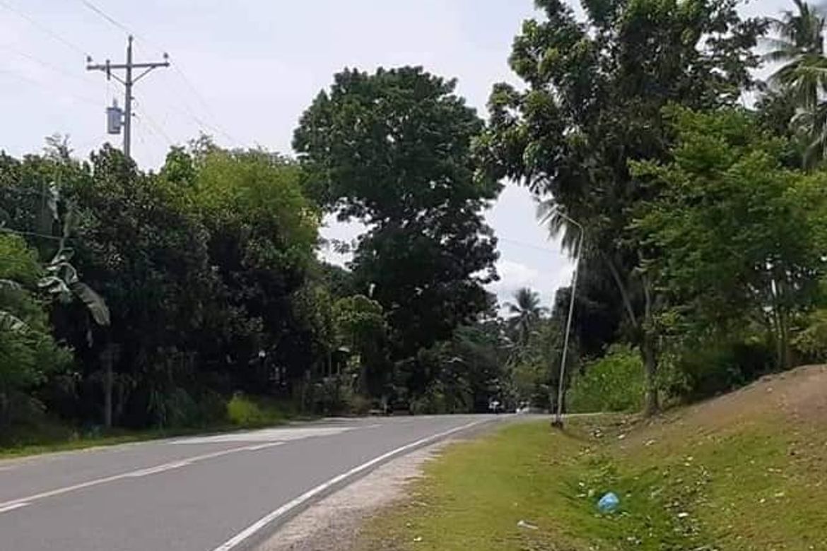 Land for Sale in Guimbangco-An, Sibonga, Cebu – photo 2