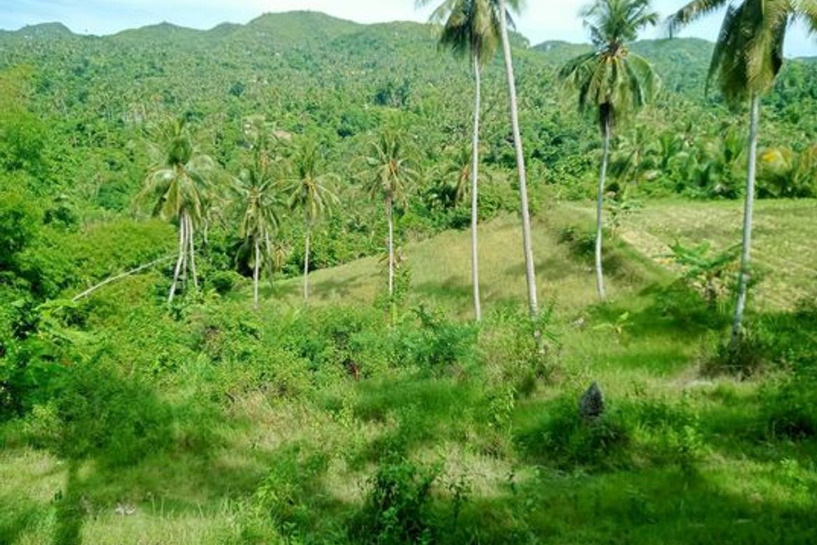Land for Sale in Guimbangco-An, Sibonga, Cebu – photo 5