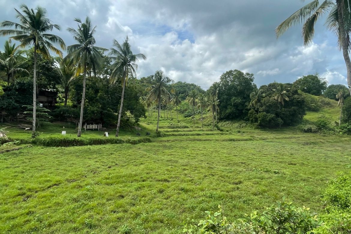 Land for Sale in Guinabsan, Buenavista, Agusan del Norte