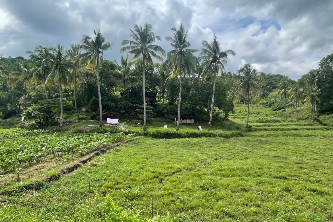 Land for Sale in Guinabsan, Buenavista, Agusan del Norte – photo 2