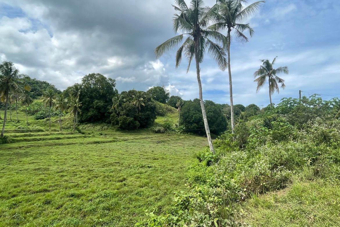 Land for Sale in Guinabsan, Buenavista, Agusan del Norte – photo 3