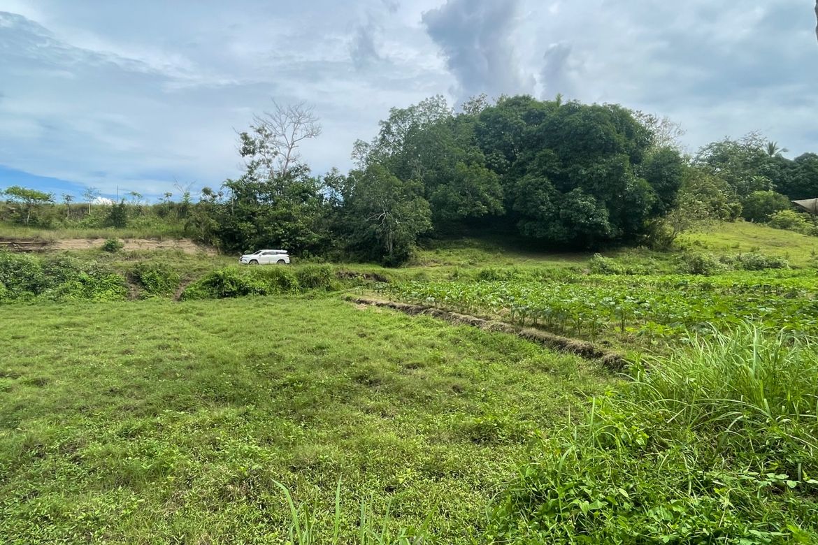 Land for Sale in Guinabsan, Buenavista, Agusan del Norte – photo 8