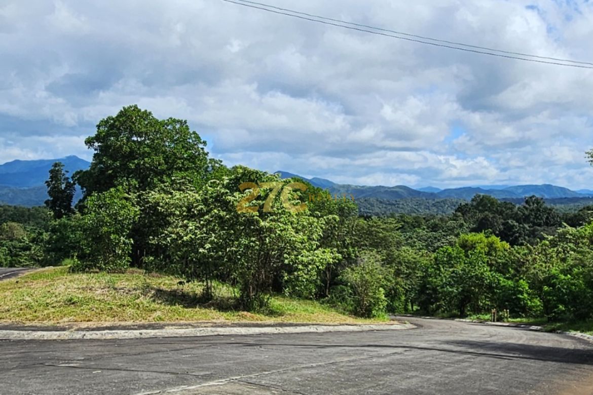 Land for Sale in Guinayang, San Mateo, Rizal – photo 4