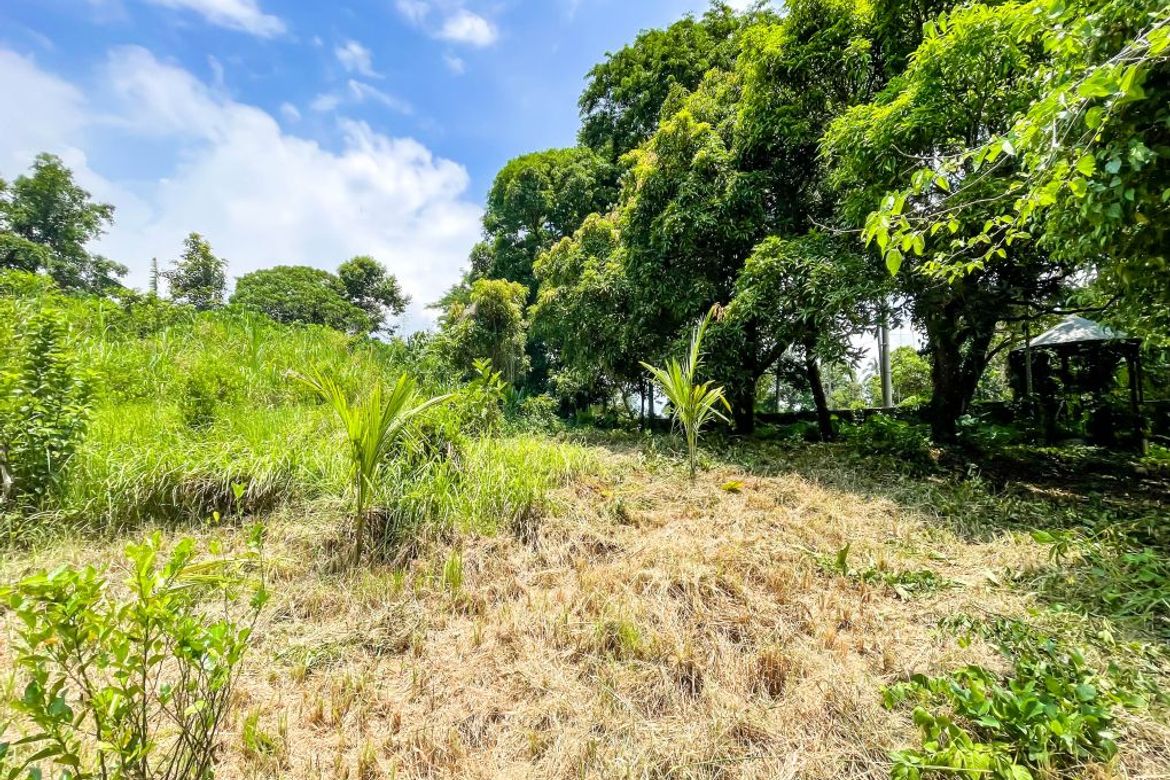 Land for Sale in Guinhawa North, Tagaytay, Cavite – photo 6