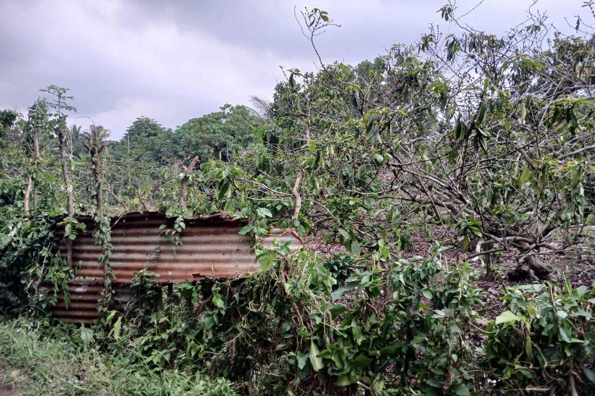 Land for Sale in Guinhawa North, Tagaytay, Cavite – photo 4