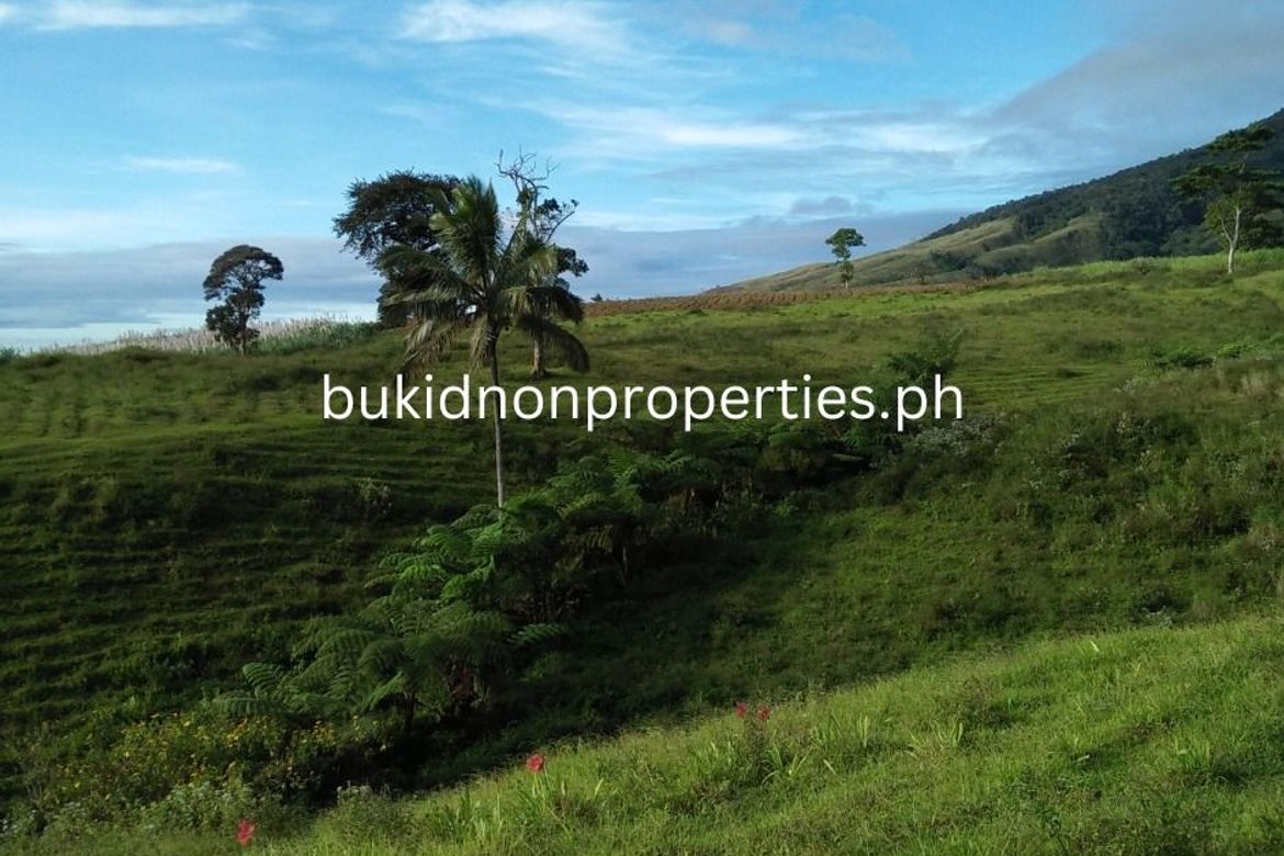 Land for Sale in Guinoyuran, Valencia, Bukidnon – photo 4