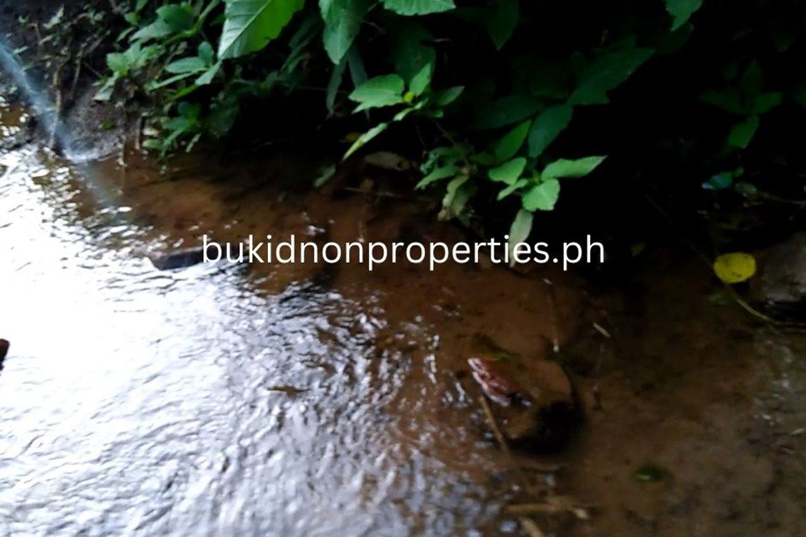 Land for Sale in Guinoyuran, Valencia, Bukidnon – photo 5