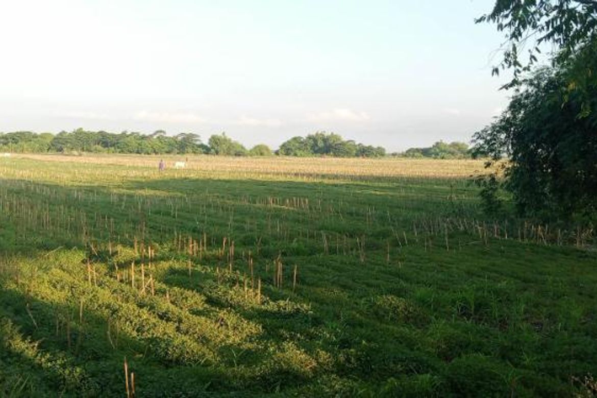 Land for Sale in Guiteb, Ramos, Tarlac – photo 4