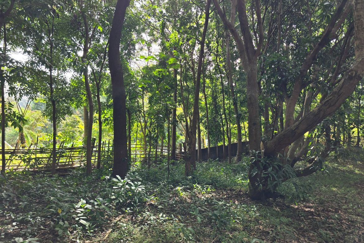 Land for Sale in Guitnang Bayan I, San Mateo, Rizal – photo 3