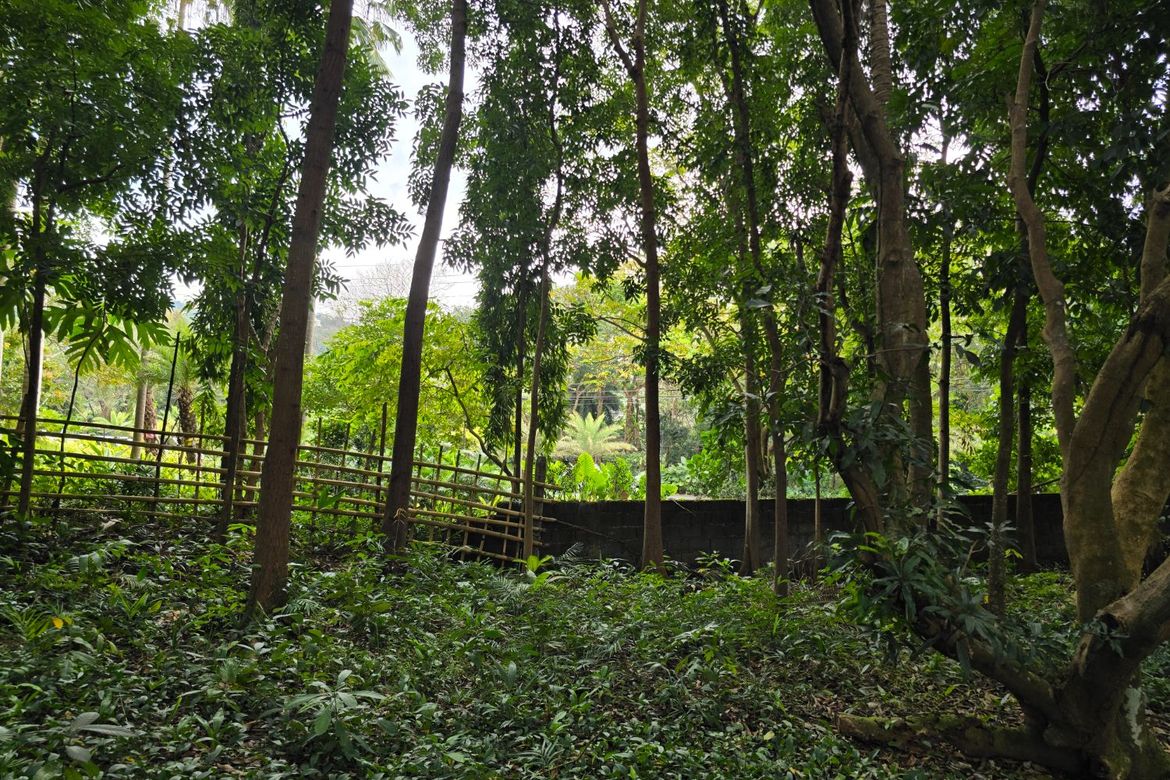 Land for Sale in Guitnang Bayan I, San Mateo, Rizal – photo 4