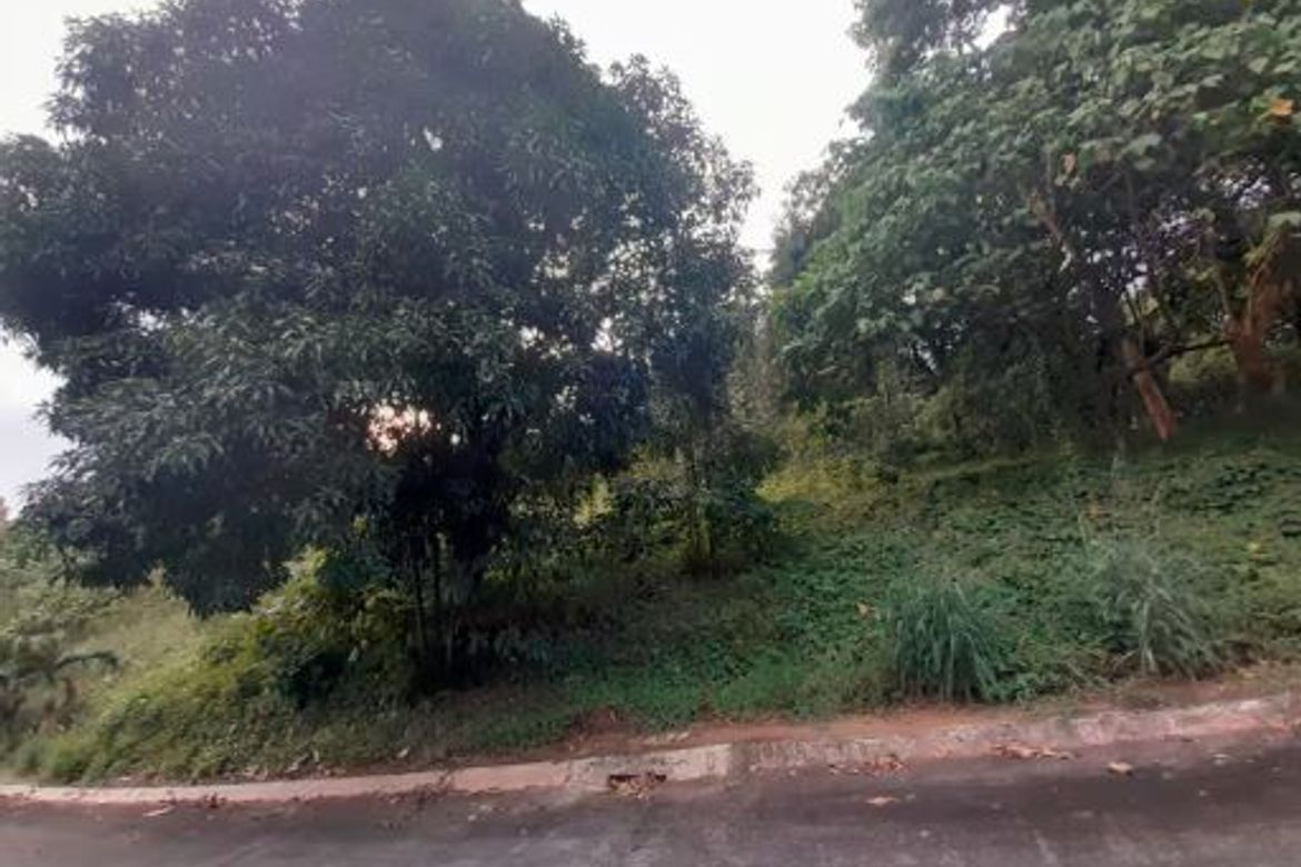 Land for Sale in Guitnang Bayan I, San Mateo, Rizal – photo 3