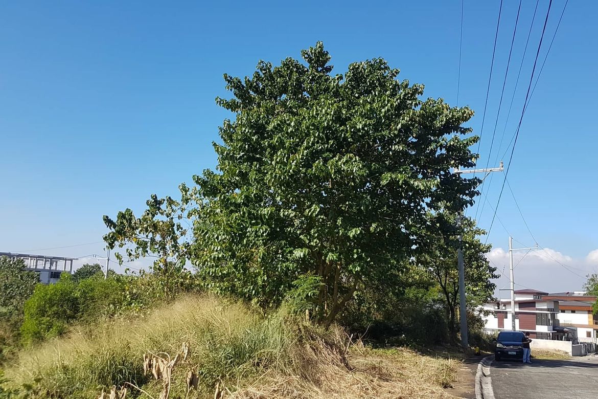 Land for Sale in Guitnang Bayan I, San Mateo, Rizal – photo 2