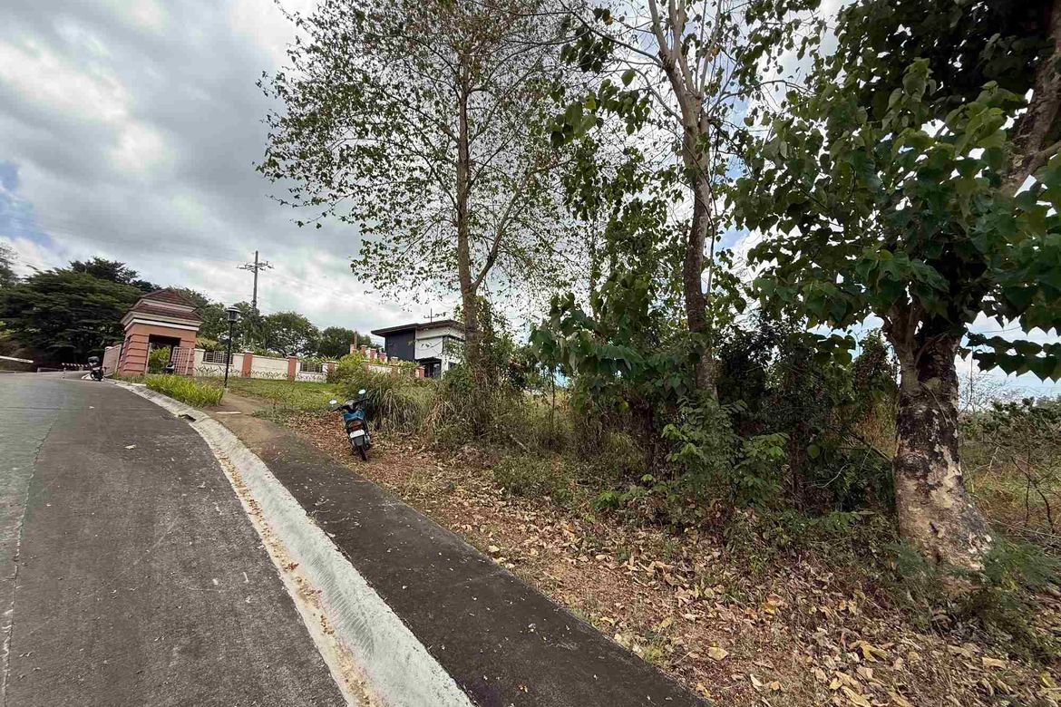 Land for Sale in Guitnang Bayan I, San Mateo, Rizal – photo 2