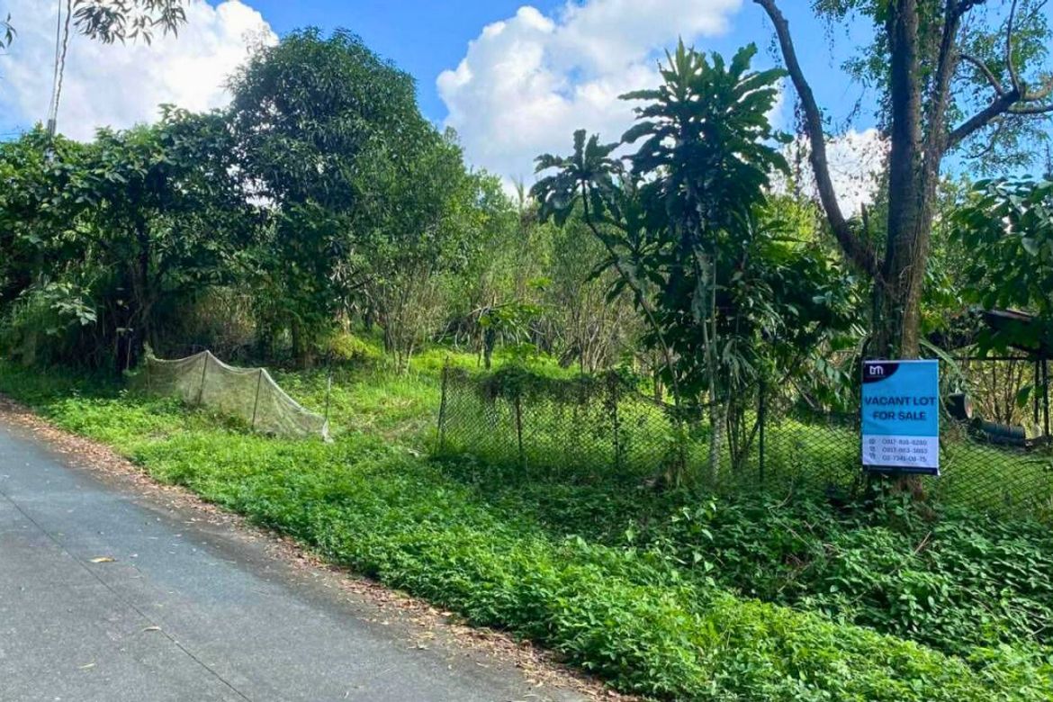 Land for Sale in Guitnang Bayan II, San Mateo, Rizal – photo 2