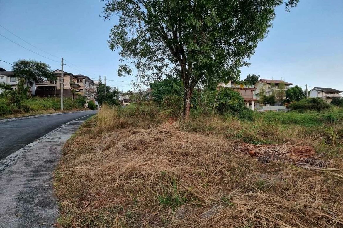 Land for Sale in Guitnang Bayan II, San Mateo, Rizal – photo 2