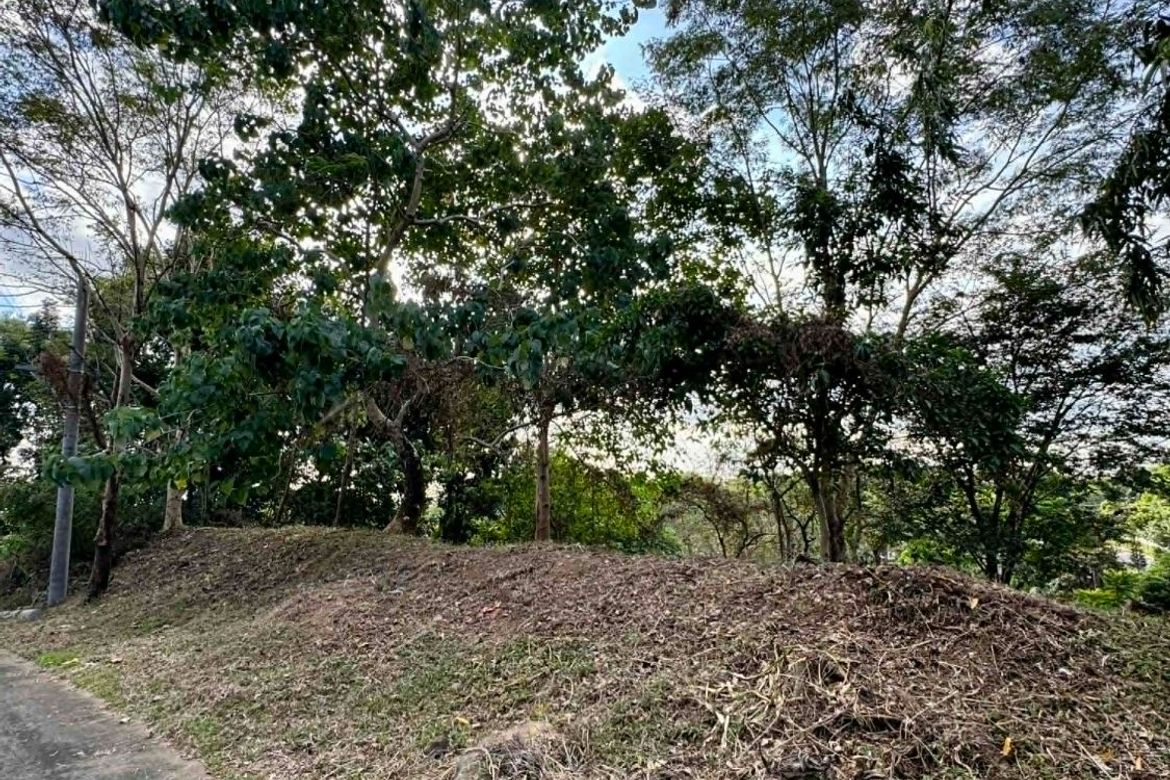 Land for Sale in Guitnang Bayan II, San Mateo, Rizal – photo 2