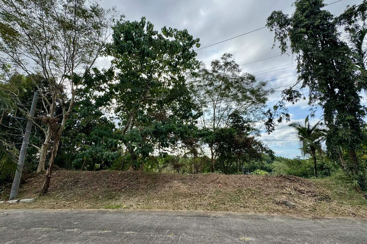 Land for Sale in Guitnang Bayan II, San Mateo, Rizal – photo 4