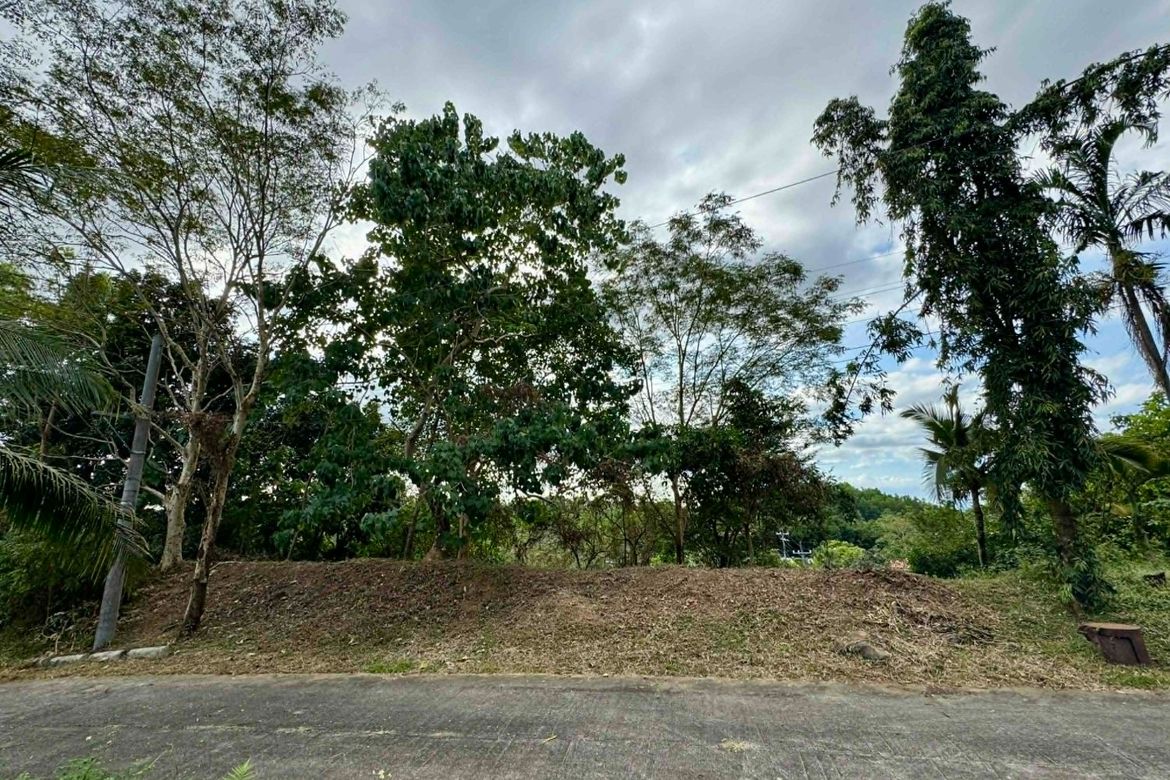 Land for Sale in Guitnang Bayan II, San Mateo, Rizal – photo 5