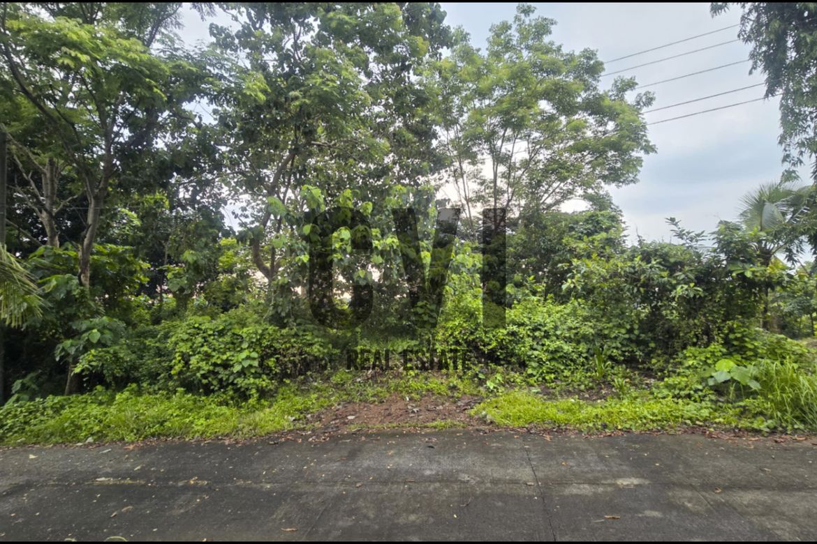 Land for Sale in Guitnang Bayan II, San Mateo, Rizal – photo 2