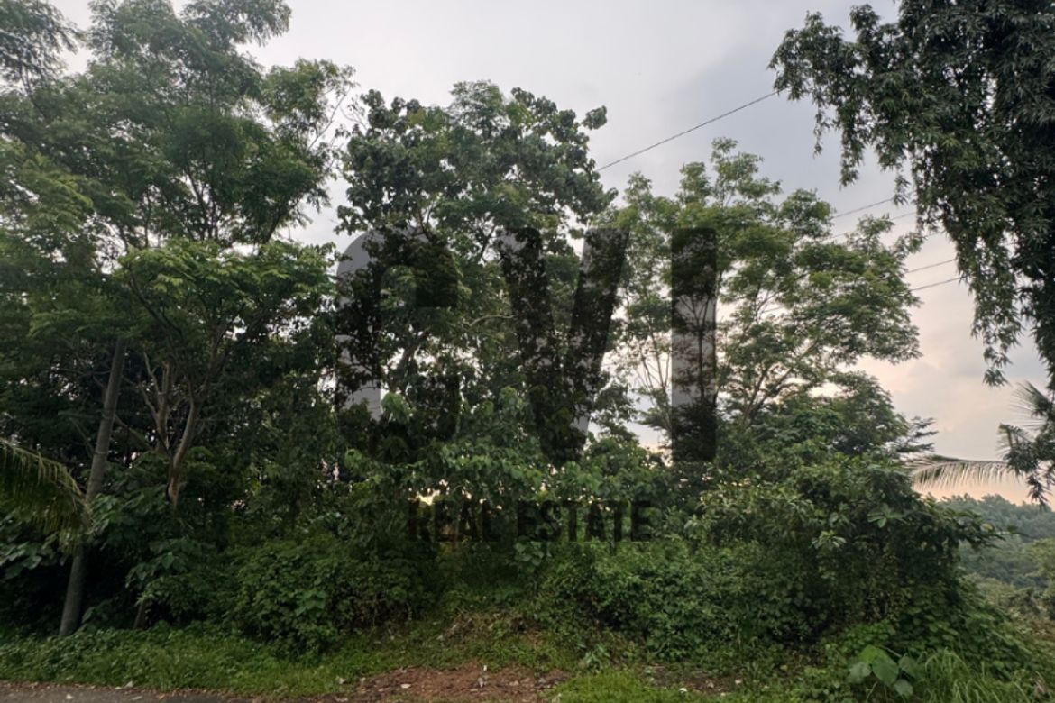 Land for Sale in Guitnang Bayan II, San Mateo, Rizal – photo 4
