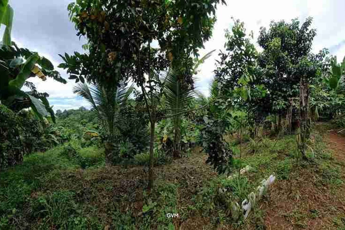 Land for Sale in Guitnang Bayan II, San Mateo, Rizal – photo 2
