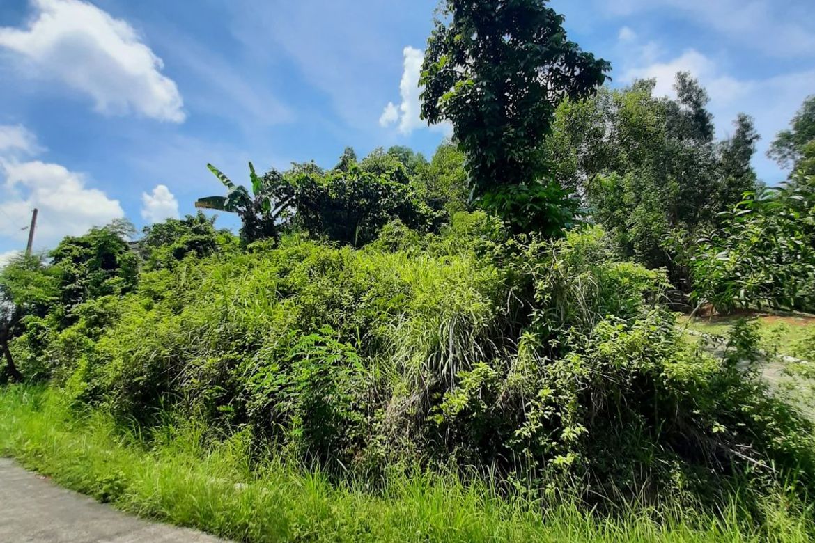 Land for Sale in Guitnang Bayan II, San Mateo, Rizal – photo 2