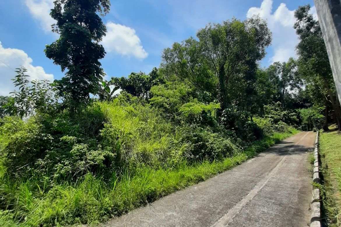 Land for Sale in Guitnang Bayan II, San Mateo, Rizal – photo 3