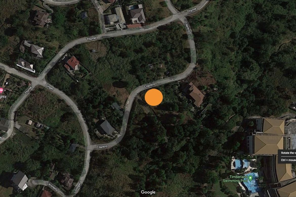 Land for Sale in Guitnang Bayan II, San Mateo, Rizal – photo 5