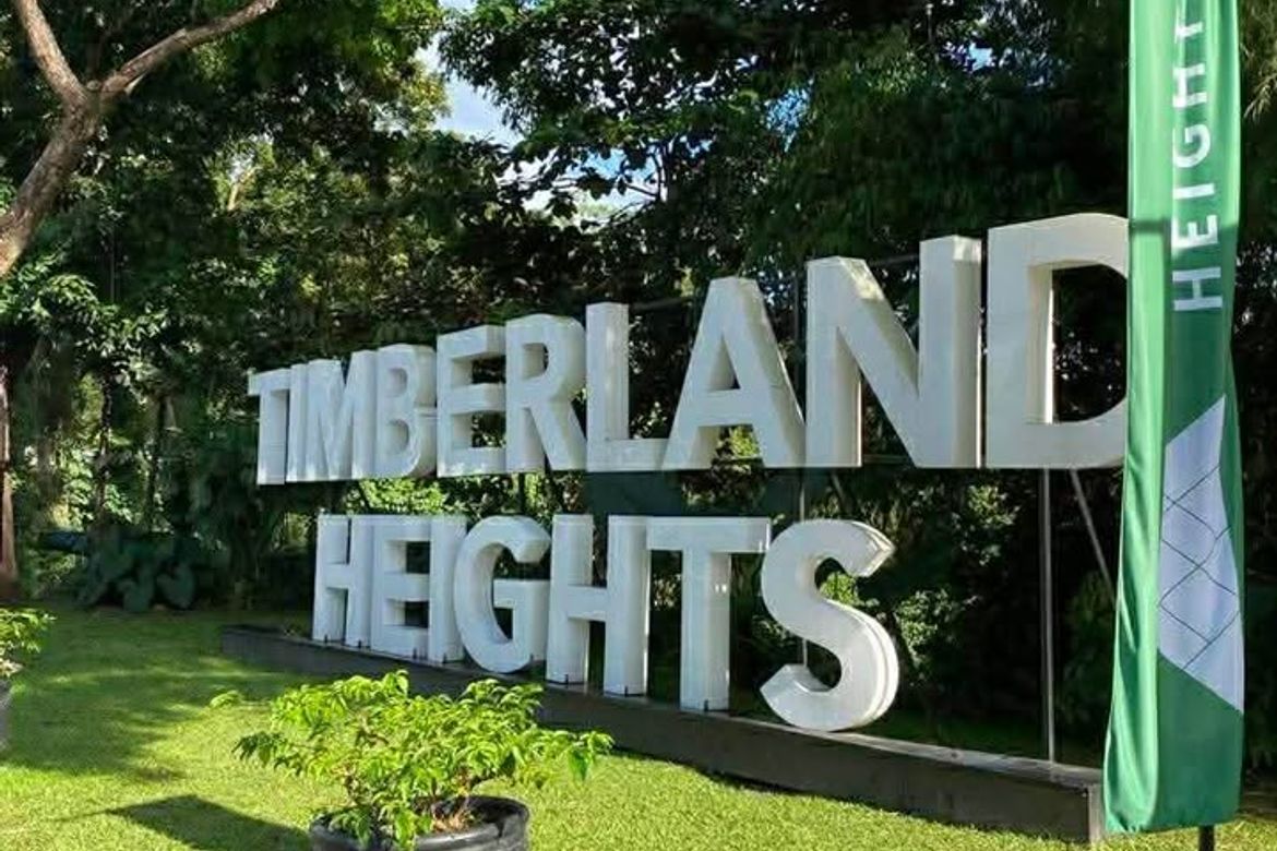 Land for Sale in Guitnang Bayan II, San Mateo, Rizal – photo 3