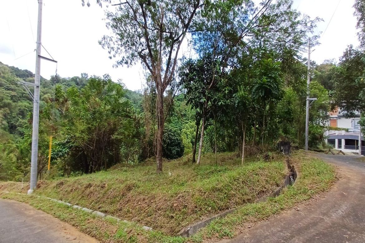 Land for Sale in Guitnang Bayan II, San Mateo, Rizal – photo 2