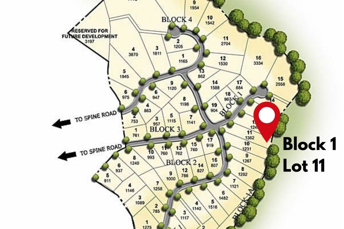 Land for Sale in Guitnang Bayan II, San Mateo, Rizal – photo 3