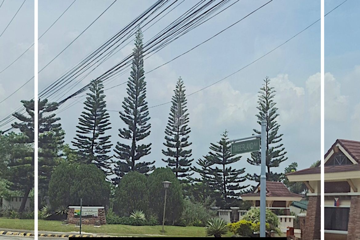 Land for Sale in Guitnang Bayan II, San Mateo, Rizal