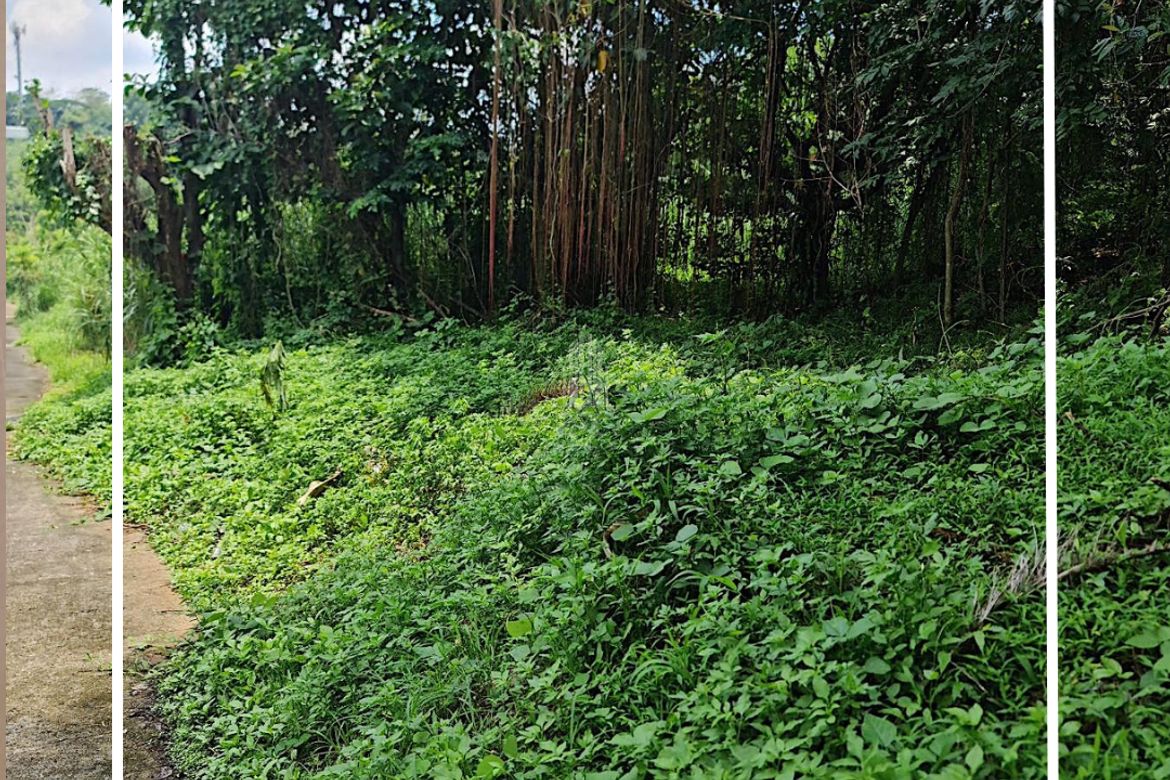 Land for Sale in Guitnang Bayan II, San Mateo, Rizal – photo 2