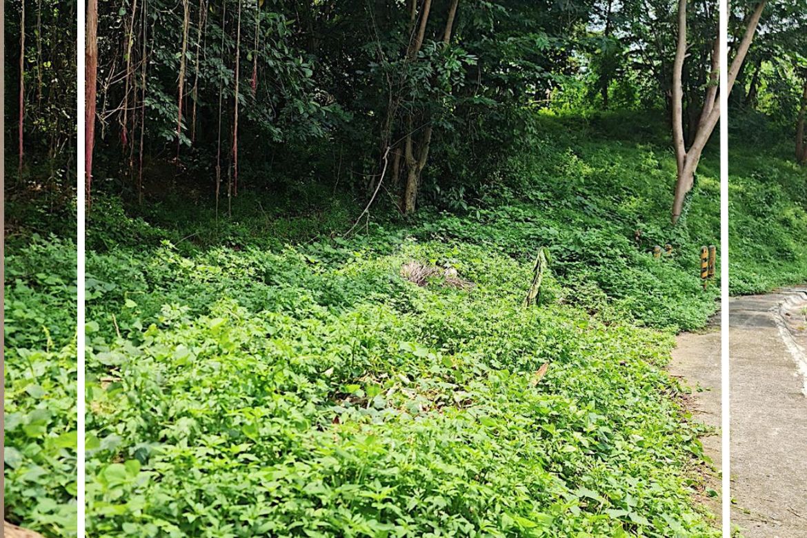 Land for Sale in Guitnang Bayan II, San Mateo, Rizal – photo 3