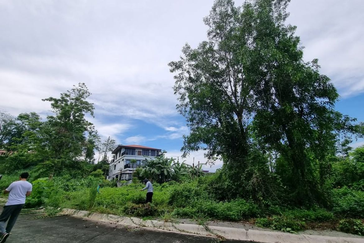 Land for Sale in Guitnang Bayan II, San Mateo, Rizal – photo 4