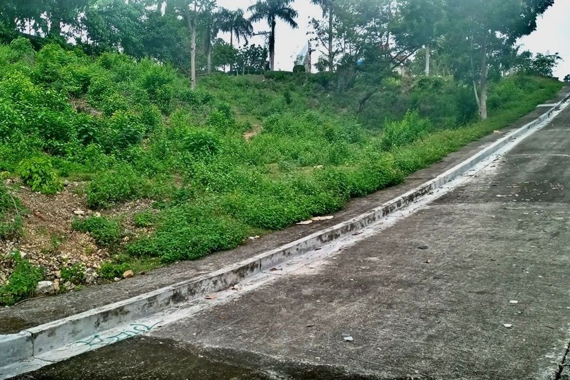 Land for Sale in Guizo, Mandaue, Cebu