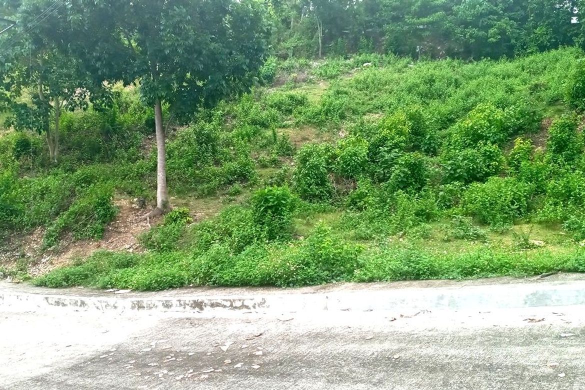 Land for Sale in Guizo, Mandaue, Cebu – photo 2