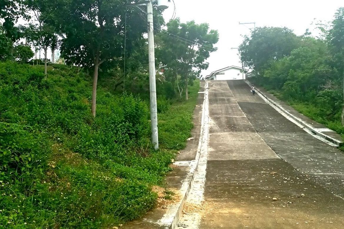 Land for Sale in Guizo, Mandaue, Cebu – photo 3