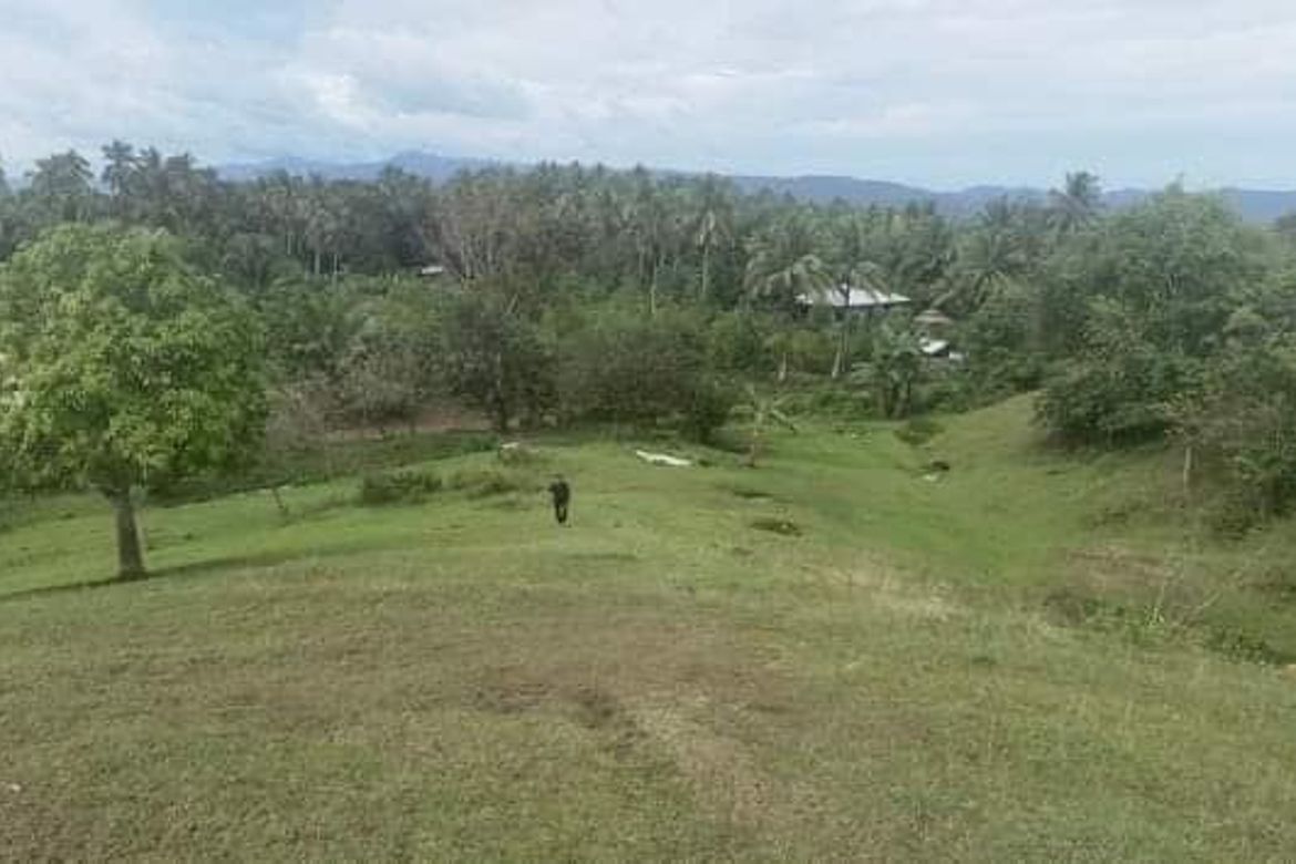 Land for Sale in Gumalang, Davao City, Davao del Sur – photo 4