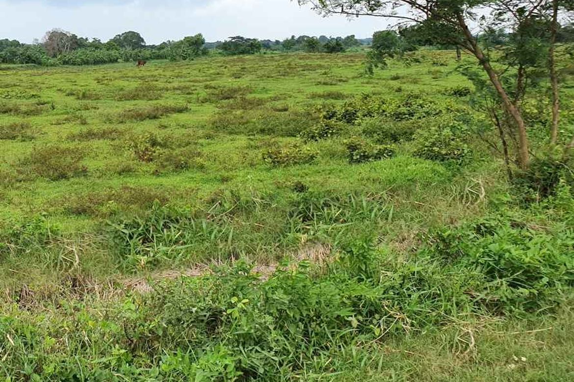 Land for Sale in Habay II, Bacoor, Cavite – photo 2