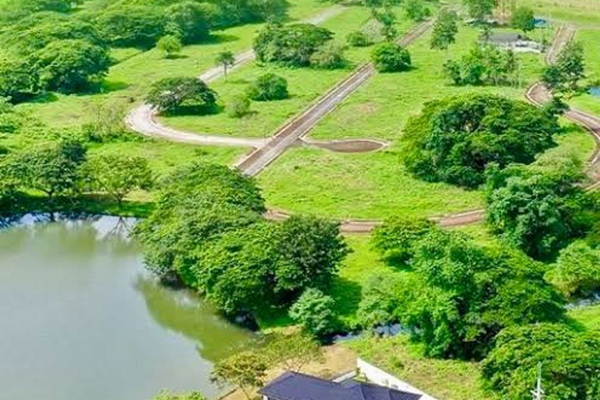 Land for Sale in Hacienda Escudero, Anastacia, Tiaong, Quezon – photo 2