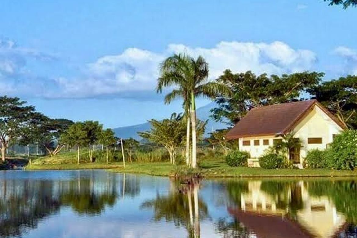 Land for Sale in Hacienda Escudero, Anastacia, Tiaong, Quezon – photo 3