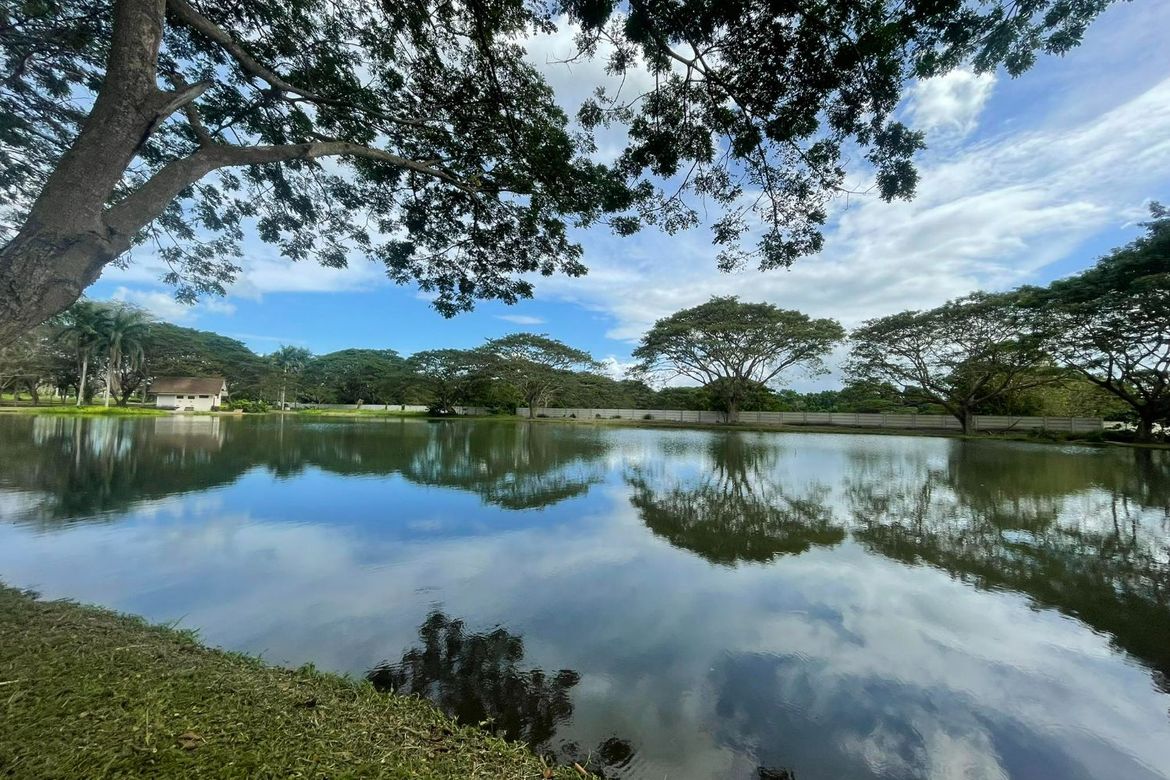 Land for Sale in Hacienda Escudero, Anastacia, Tiaong, Quezon – photo 5