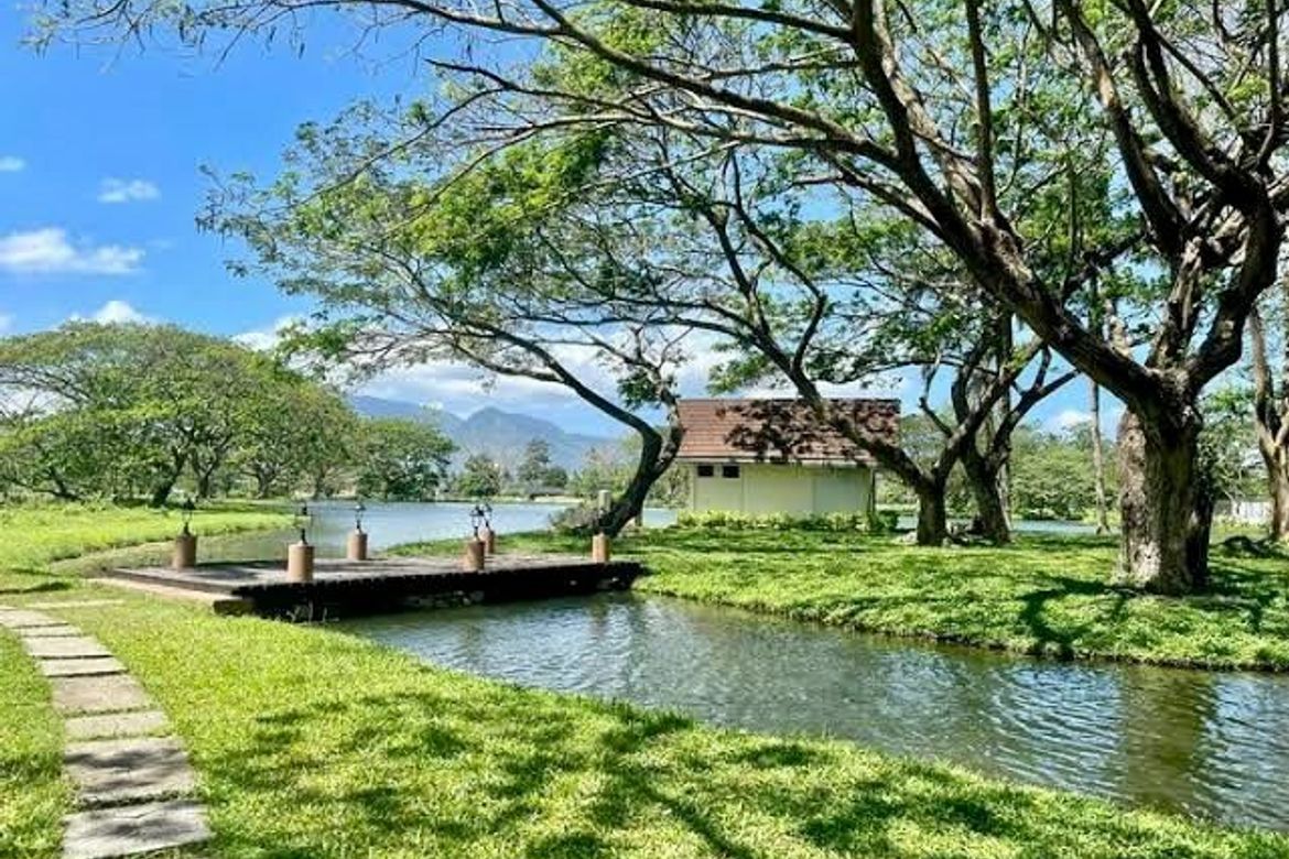 Land for Sale in Hacienda Escudero, Anastacia, Tiaong, Quezon – photo 6