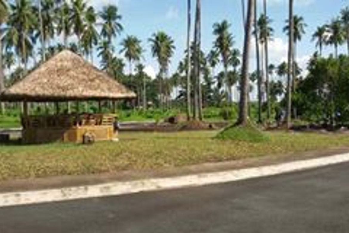 Land for Sale in Hacienda Escudero, Anastacia, Tiaong, Quezon – photo 8